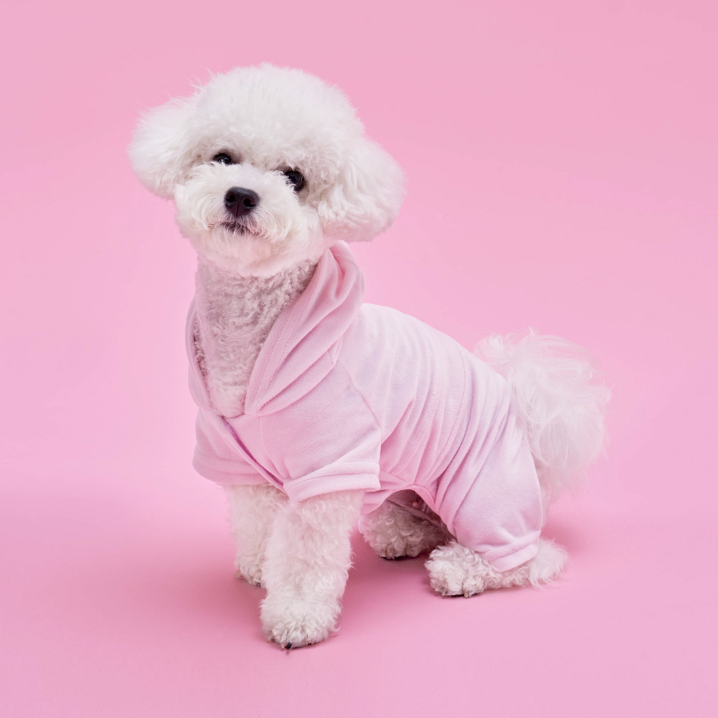 Bling Velour Pet Tracksuit - Image 2