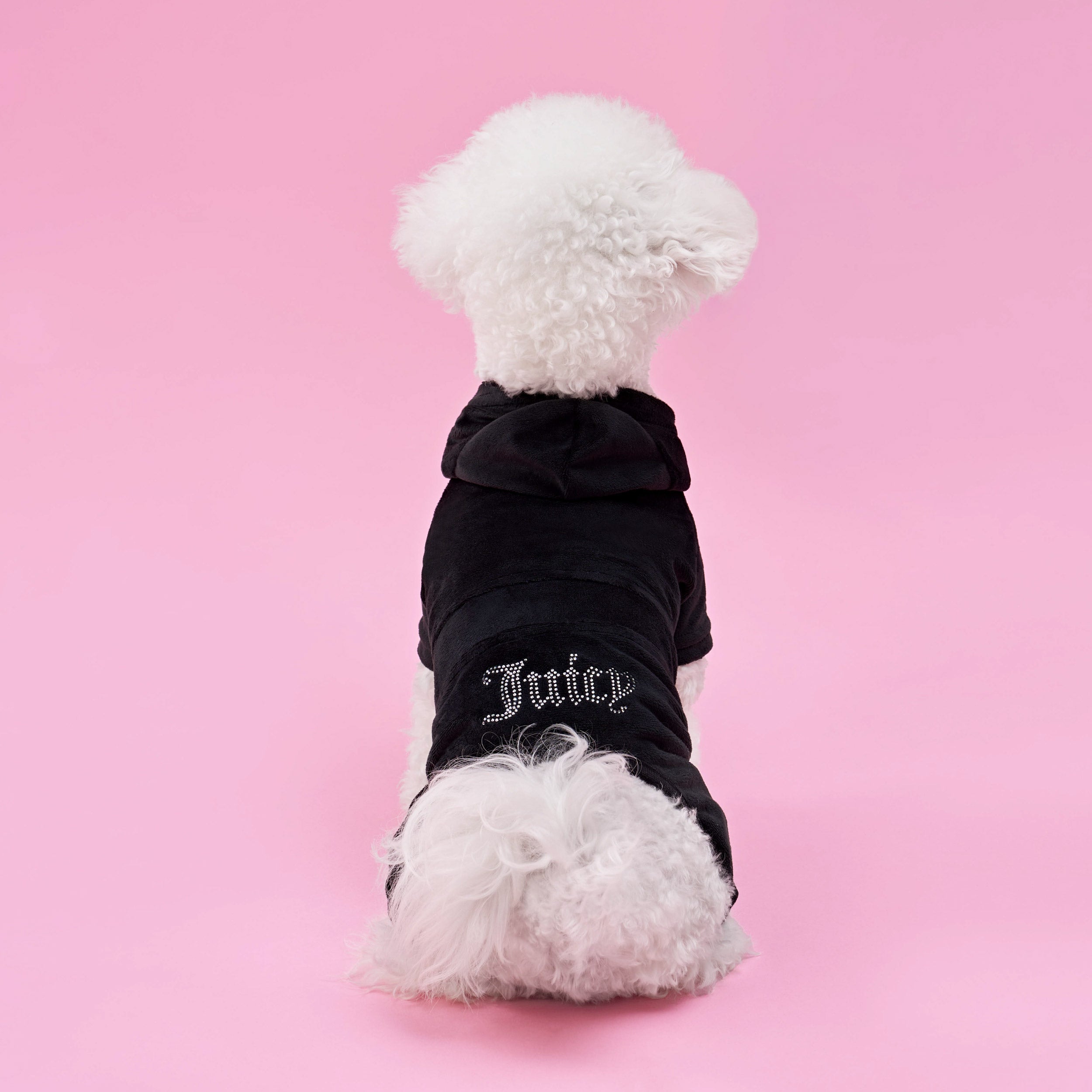 Bling Velour Pet Tracksuit
