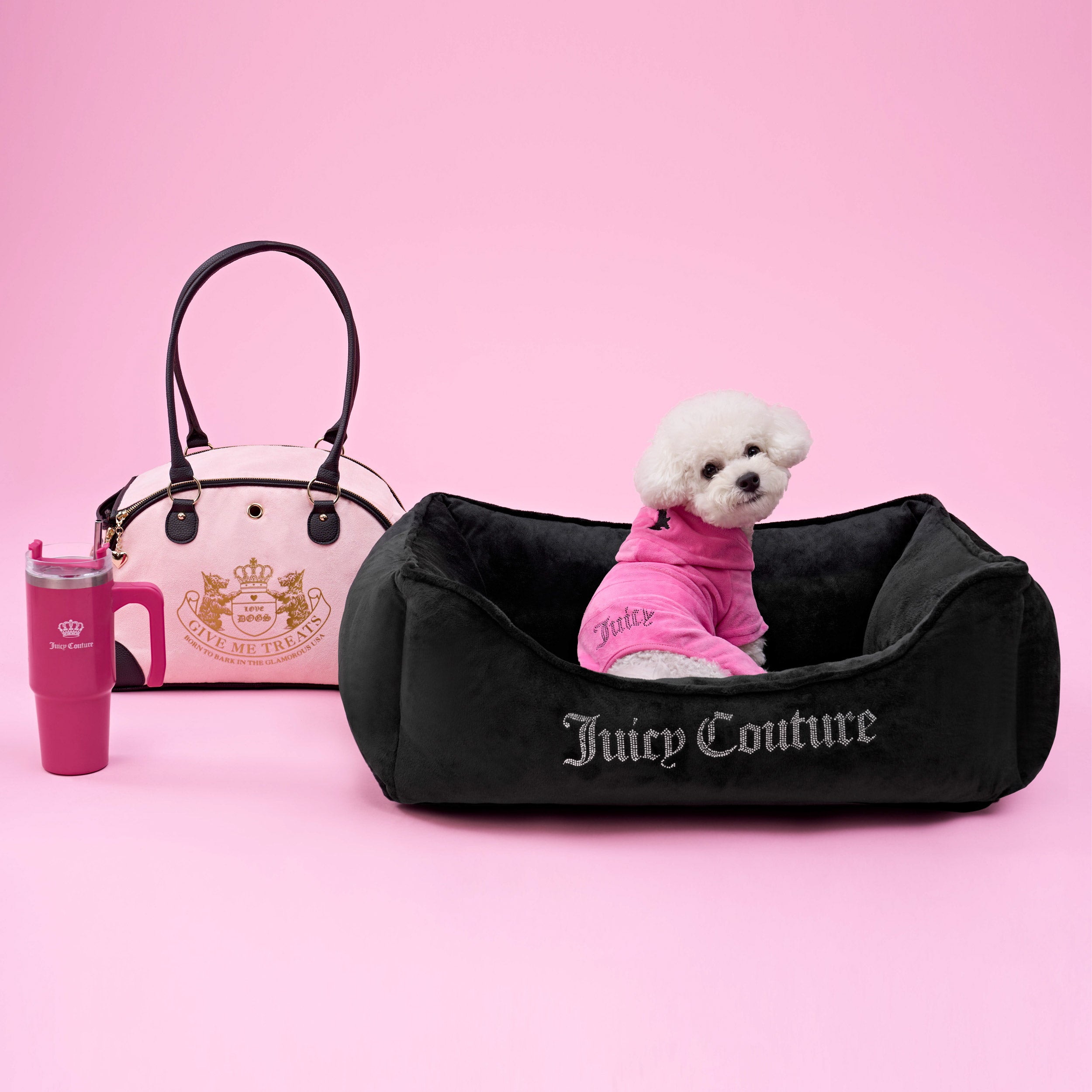 Bling Velour Pet Tracksuit - Image 4